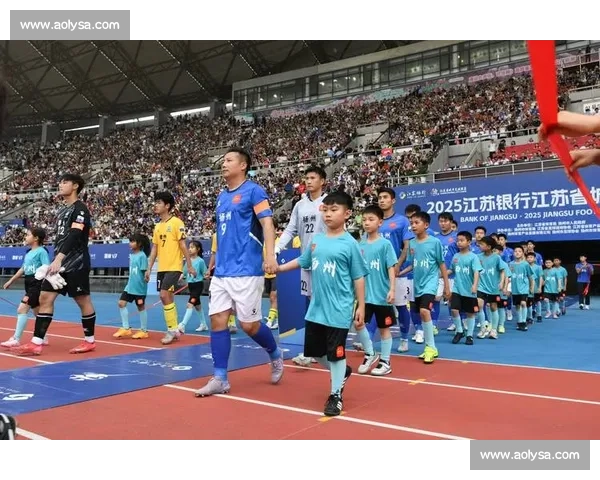 扬州企业家驾机飞越苏超赛场 5 架国产飞机编队空中助威